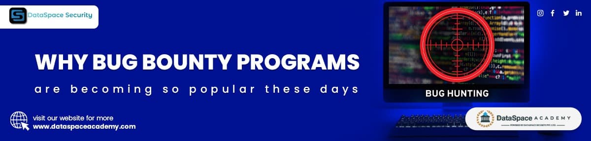 Why Bug Bounty programs are becoming so popular these days
